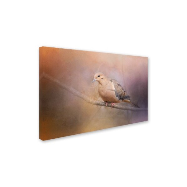 Jai Johnson 'Mourning Dove On A Winter Evening' Canvas Art,12x19